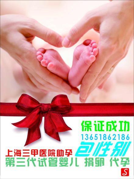 试管供卵试管代怀机构【试管供卵试管代怀机构:助您圆梦成家】