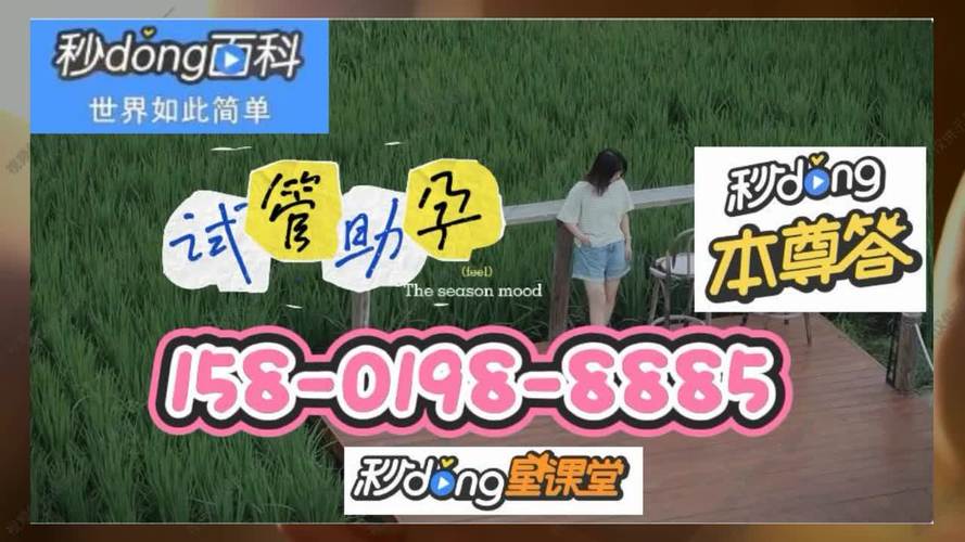 试管供卵试管代怀犯法吗-试管供卵试管代怀犯法吗:伦理与法律的边界探讨
