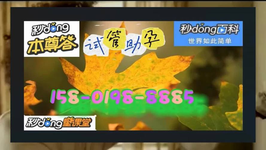 试管供卵试管代怀公司(试管供卵试管代怀公司:助您圆梦成为父母)