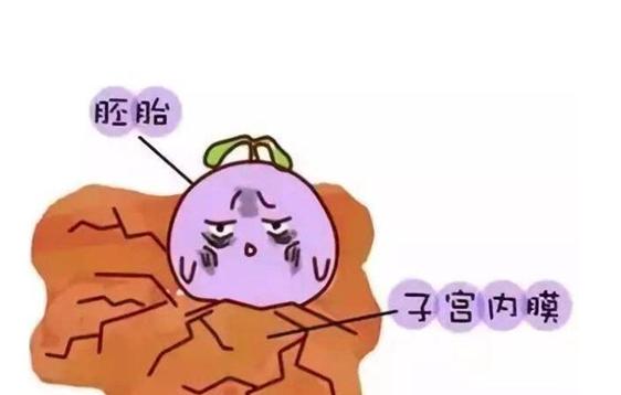 试管婴儿检查中子宫内膜ABC型是什么意思【试管婴儿检查：解读中子宫内膜ABC型】