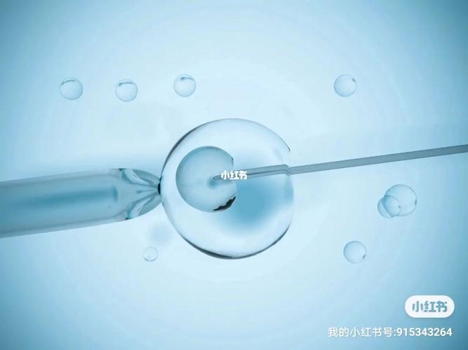 试管助孕-试管助孕：科技助力实现生育梦
